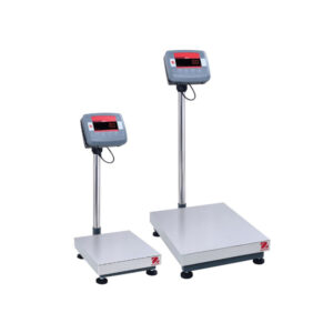 Defender 2000 Bench Scales